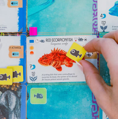 Finspan: Juego de Mesa de Exploración y Colección De Peces (En español)